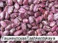 Продаём экологически чистую фасоль  из  Киргизии!!!